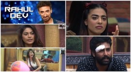 Bigg boss 10 nominated contestants, bigg boss eviction poll, bigg boss nominated contestants, rahul dev nominated, bani j nominates, lopamudra nominated, manveer nominated, nitibha nominated, nitibha manveer closeness, rahul dev uninterested, celebrities low profile bigg boss, commoners reigning bigg boss, bigg boss 10 news, bigg boss 10 updates, , television news, television updates, entertainment news, indian express news, indian express