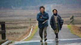 arunachal pradesh tourism, ziro arunachal pradesh tourism, arunachal pradesh tourism hampers, ziro roads and power supply, indian express news