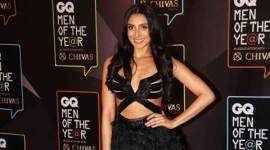 pernia-480 no alt set