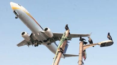 aviation safety, india aviation safety, aviation safety india, goa plane, plane crash india, india flight safety, flight safety, flight safety india, india news