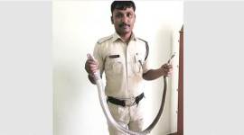 snake catcher, prison guard snake catcher, prison guard catches snakes, maharashtra guard catches snake, taloja guard snake catchers, india news