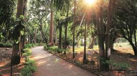 Sagar Upavan, green getaway,  Sagar Upavan-green getaway, nature enthusiasts, Mumbai, Maharashtra, India news, Indian Express