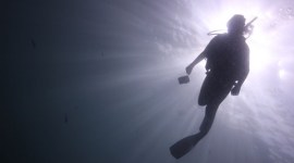 Maharashtra, Maharashtra forest officers, scuba diving lessons for Maharashtra officer, Indian Institute of Scuba Diving and Aquatic Sports, Maharashtra Tourism Development Corporation, India news, latest news, India news