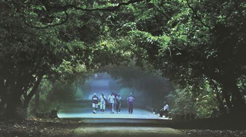 Mumbai: Borivli national park to take up restoration of meadows to