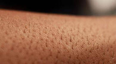 Cancer cell, skin cancer, melanoma, malignant, Q score, skin cancer treatment, detect skin cancer early, Science, Science news