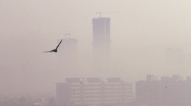 mumbai, mumbai winter, mumbai air quality, mumbai pollution, mumbai traffic, global warming, indian express news, india news, mumbai, mumbai news