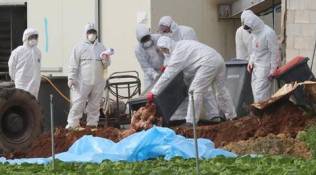 Vienna bird flu, Bird flu in Vienna, Vienna Zoo bird flu, Vienna Bird flu news, Latest news, India news, national news, India news, National news, India news, National news, India news, latest news