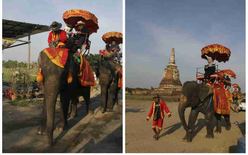 mobile photography, tips for taking good pictures, how to take stunning photos, take great holiday photos, tips for good pictures, tips for stunning photos, smartphones, smartphone camera, take stunning shots from phone camera, tips for good selfies, technology, technology news