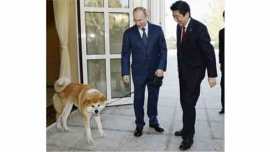 japan, russia, shinzo abe, vladimir putin, putin's dog, japan russia dog diplomacy, world news
