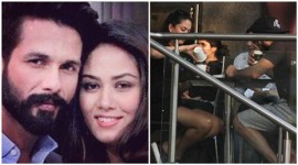 shahid kapoor, mira rajput, shahid mira