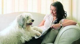 a-dogs-purpose-480 pet, pets, pet relations, relationship with pets, spending time with pets, lifestyle news, eye 2017, sunday eye, eye magazine