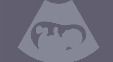 Cabinet approves raising upper limit for permitting abortions to 24 weeks