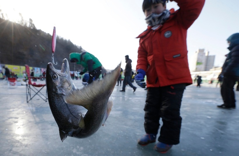 south korea, winter, winter festival, ice festival, ice fishing festival, unique winter festivals, South Korea Ice Fishing Festival, Hwacheon Sancheoneo Ice Festival, 2017 Hwacheon Sancheoneo Ice Festival, 2017 south korea fishing festival, lifestyle news, world news, latest news, indian express