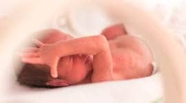 Newborn girl abducted from Ludhiana hospital