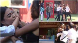 bani-lopa-fight-480 no alt set