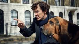 benedict-cumberbatch-sherlock-480 Sherlock, Benedict Cumberbatch
