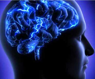 brain, hormone, fat burning brain hormone, fat burning in gut, hormone triggers fat burning, worms, fat burning drug, fat metabolism, neurons, science, science news