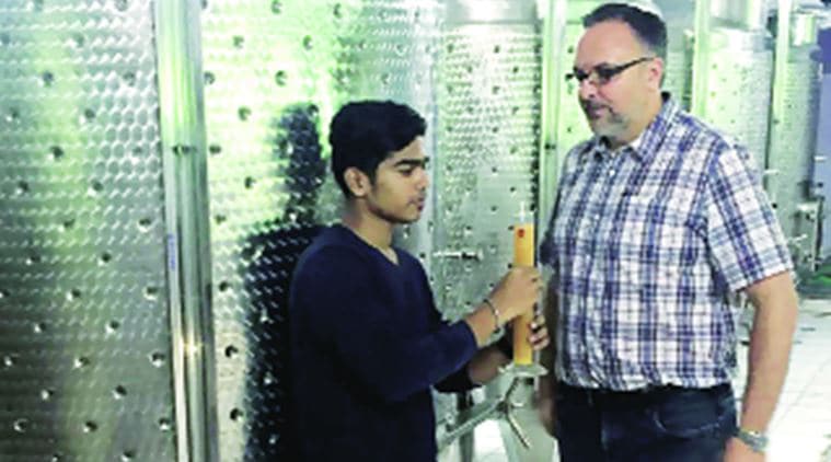 chikoo wine, chikoo wine debut, palghar chikoo festival, mumbai, mumbai news, indian expres, india news