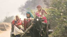 akhilesh supporters, western up, up polls, samajwadi party supporters, chuharpur village, bsp vs sp, bjp up candidate, india news