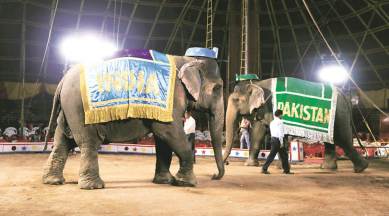 mumbai circus, kharghar circus, Central Zoo Authority, cza, zoo bans circus, zoo authority bans mumbai circus, zoo bans kharghar circus, mumbai news, india news