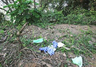 Delhi crime news, Crime in Delhi news, Suicide news, Suicide in Delhi news, Suicide at Pusa Institute, Latest news, India news, National news