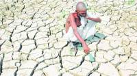 , fGujarat news, farmer suicides in Gujarat, Farmer Suicides in Gujarat news, Latest news, India new, National news, Latest news, India news, National news, Latest news armer suicide in Odisha, Bargarh district, domestic strife, Odisha government, crop loss, debt burden, India news, Indian Express