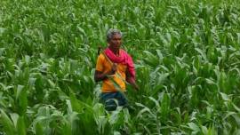 budget, union budget, budget 2017, union budget 2017, indian economy, agricultural growth, economic growth, inflation, indian express editorial page, latest news, indian express