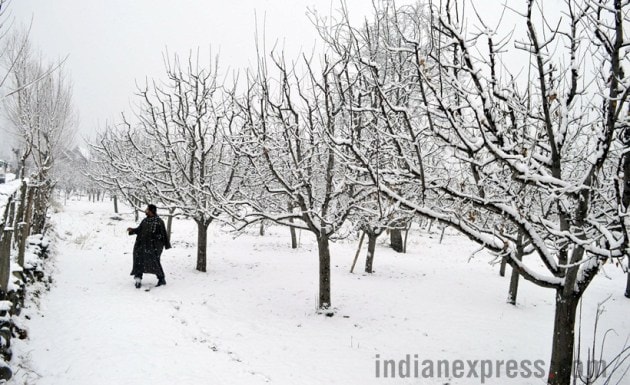 kashmir snowfall, kashmir heavy snowfall, Gulmarg snowfall, snowfall in valley, Heavy snowfall in Kashmir, Snowfall pictures, Kashmir current images, indian express news