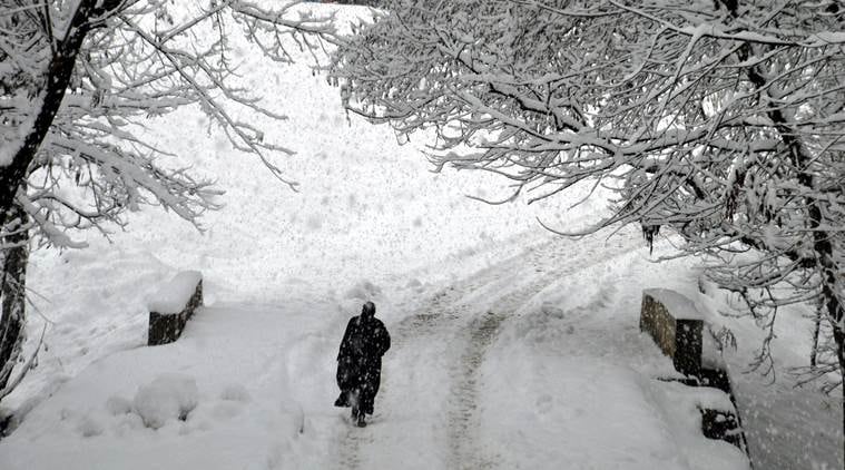 Mercury rises in Kashmir, snow in higher reaches | India News - The ...