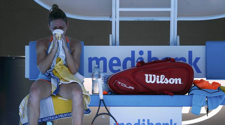 australian open, australian open women singles, simona halep, halep, shelby rogers, simona halep australian open, australian open results, aus open, tennis news, sports news