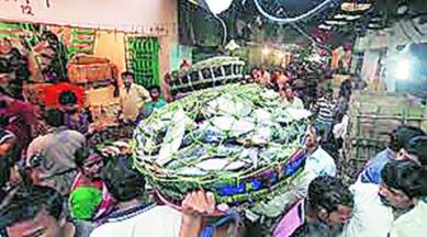 west bengal, west bengal news, hilsa, legal protection for hilsa, hilsa legal protection, west bengal hilsa, indian express, india news