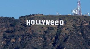 hollywood, hollyweed, hollywood sign, hollyweed sign, LA hollywood sign, Hollyweed sign, Hollyweed photo, US news, World news