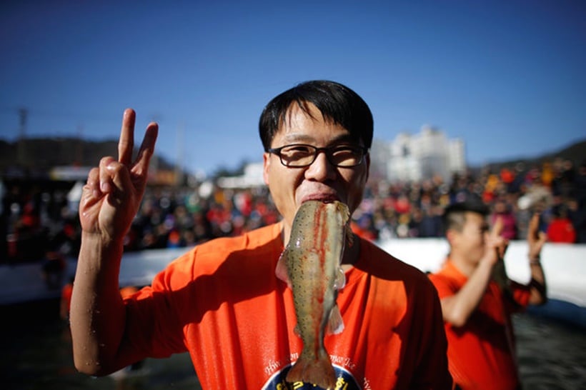 south korea, winter, winter festival, ice festival, ice fishing festival, unique winter festivals, South Korea Ice Fishing Festival, Hwacheon Sancheoneo Ice Festival, 2017 Hwacheon Sancheoneo Ice Festival, 2017 south korea fishing festival, lifestyle news, world news, latest news, indian express