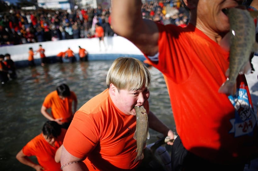 south korea, winter, winter festival, ice festival, ice fishing festival, unique winter festivals, South Korea Ice Fishing Festival, Hwacheon Sancheoneo Ice Festival, 2017 Hwacheon Sancheoneo Ice Festival, 2017 south korea fishing festival, lifestyle news, world news, latest news, indian express