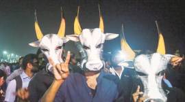 iit-b-480 iit BOMBAY, iit bombay protest, Jallikattu, IIT bombay Jallikattu protest, Jallikattu, Jallikattu chennai, Indian Institute of Technology, Bombay, pongal, latest india news