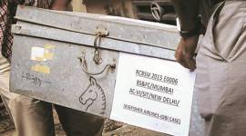 kingfisher-480 Kingfisher case, KFA case, vijay mallaya, money bfraud, IDBI banker, IBDI scam, IDBI banker arrest, yogesh agarwal, indian express news, india news, editorial