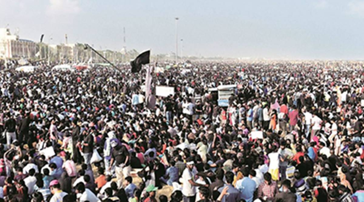 Jallikattu, Jallikattu protests, marina beach jallikattu, Marina Beach protests, Jallikattu ban, Jallikattu deaths, Jallikattu events, Tamil Nadu Jallikattu, O Panneerselvam, Jallikattu agitation, Marina Beach protests, India news, Indian Express news