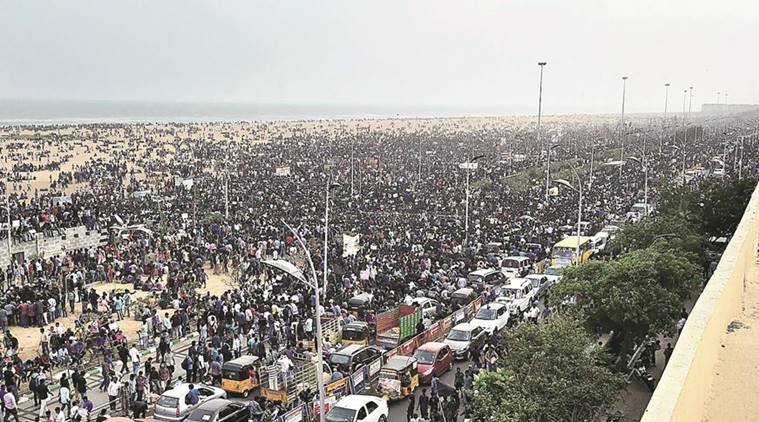 Tamil Nadu, Jallikattu, Jallikattu protests, Marina beach, Jallikattu chennai protests, Jallikattu news, Tamil nadu news, India news