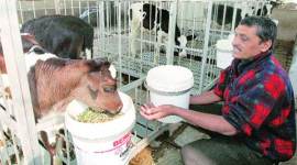 RSS Muslim wing in UP, Rashtriya Swayamsevak Sangh, Mohd Afzal, India news, Muslim Rashtriya Manch, Uttar Pradesh news, India news, National news, Latest news,