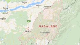 Nagaland vehicle requisition