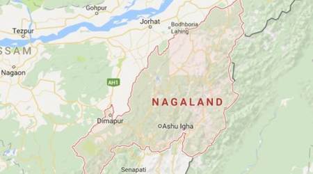 Nagaland vehicle requisition