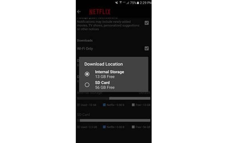 Do you need wifi hot sale to watch netflix downloads