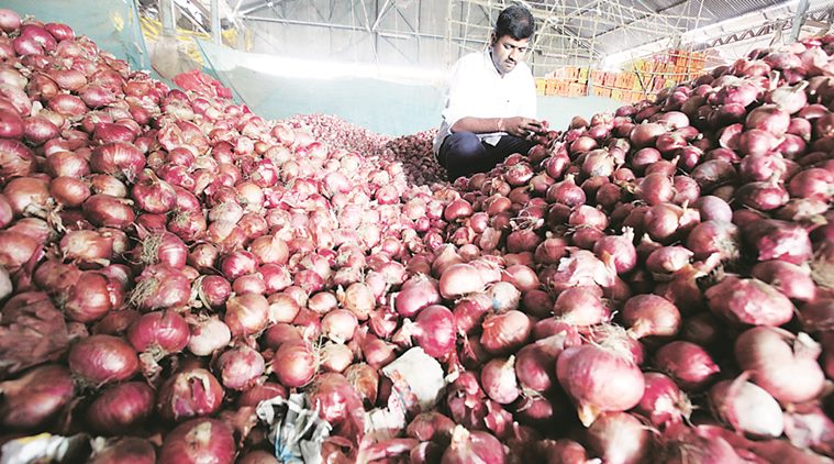 tomato price, tomato cost, onion price, indian express news