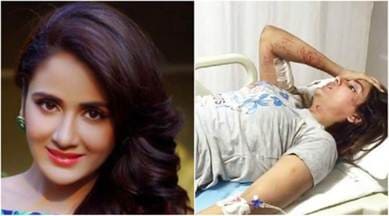 Parul Yadav, Parul Yadav dog bite, Parul Yadav dog attack, stray dog attacks, Parul Yadav pics,