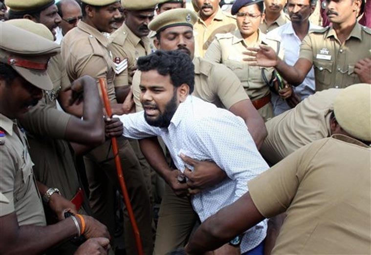 jallikattu