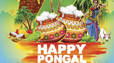 Pongal 2017 Wishes: Best Pongal Sms, Whatsapp, Facebook Messages 