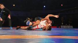 pwl, pro wrestling league, wrestling, delhi sultans, up dangal, wrestling news, sports news