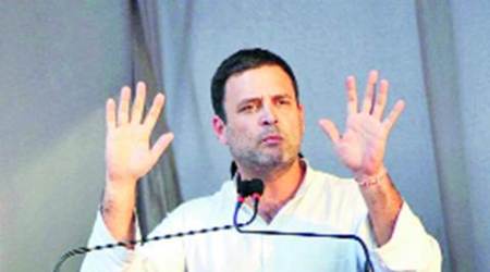 goa assembly elections, goa elections, rahul gandhi, rahul gandhi goa, rahul gandhi goa elections, goa news, india news, latest news, indian express