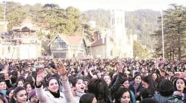 shimla, shimla tourism, shimla news, shimla snow, shimla tourists, india news, shimla news