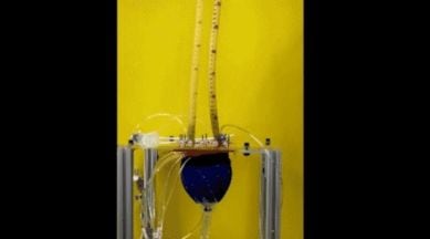 Robotics, Soft robot heart, heart failure patients, Heart failure solutions, augmenting heart functions, Harvard university, mammalian heart, How does heart robot function, Heart robot cost, heart failure research, soft robotics research, soft robotics uses, alternatives to pacemakers,robot heart anatomy, Science, Science news